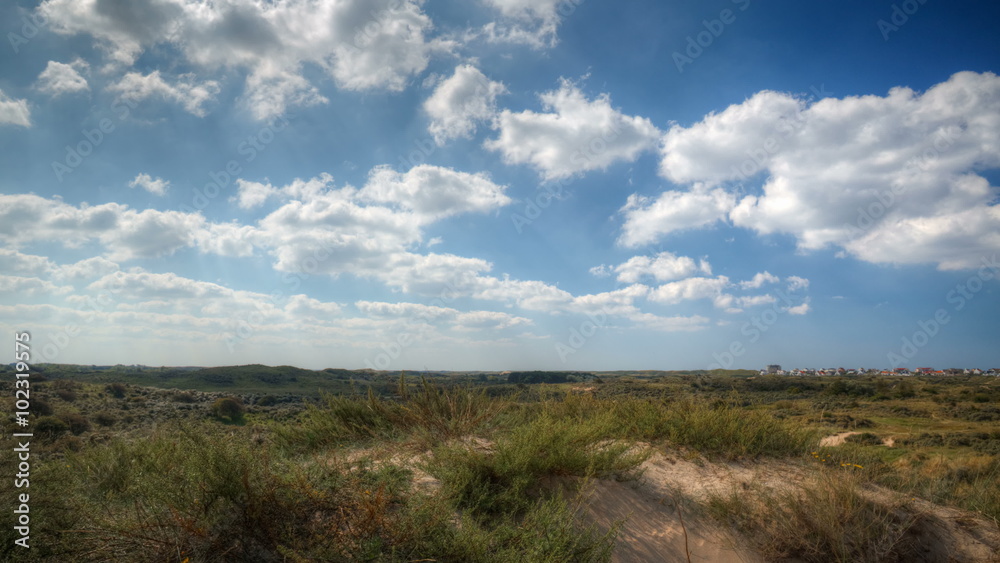 Dutch Dunes Dutch Dunes