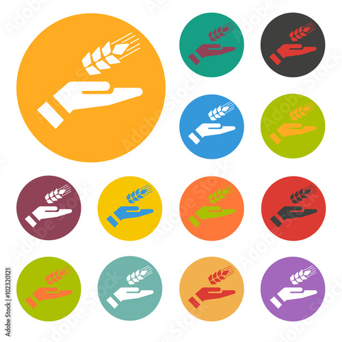 spica icon