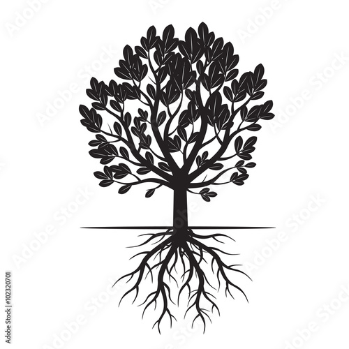 Black Tree nd Roots. Vector Illustration.