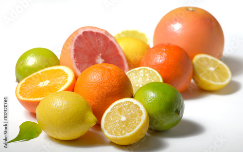 citrus fruits isolated