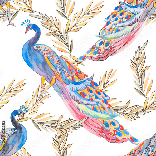 Beautiful peacock pattern. Vector. Peacocks and plants.