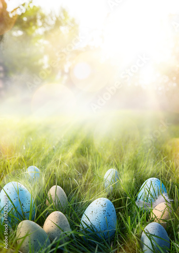 art Colorful Easter eggs in the grass on sky background