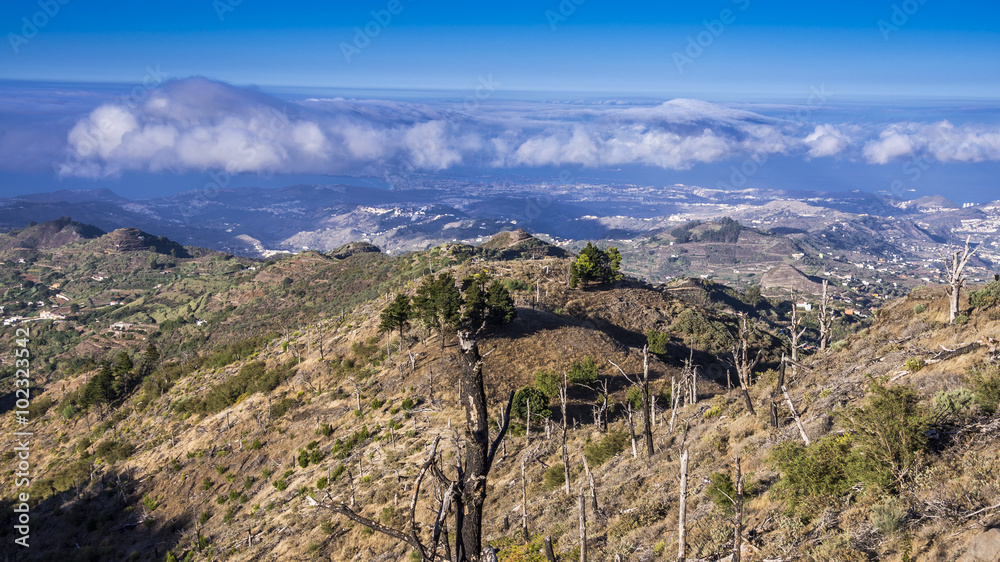 Fototapeta premium Kanarische Insel Gran Canaria von oben
