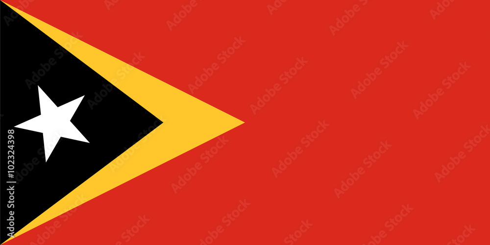 Standard Proportions for Timor Leste Flag Standard Proportions for Timor Leste Flag