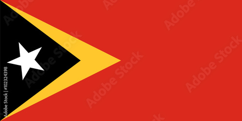 Standard Proportions for Timor Leste Flag