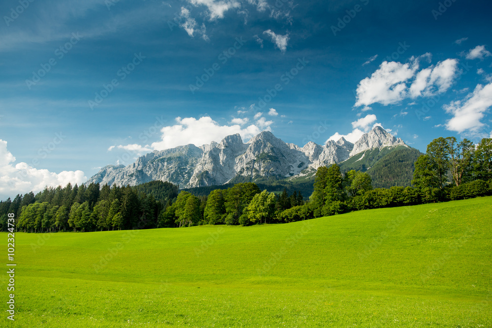 Austrian alps in summer