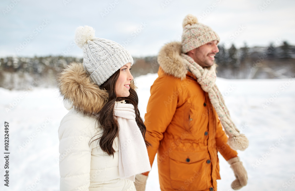 Fototapeta premium happy couple walking over winter background