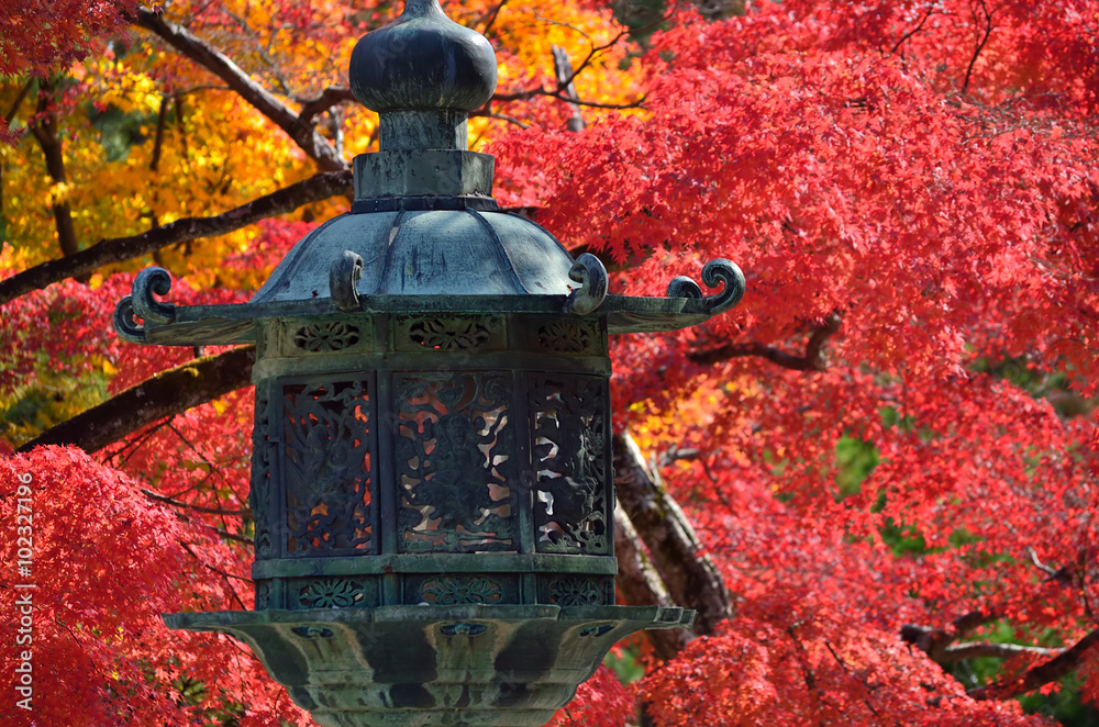 紅葉 京都 仁和寺, autumn leaves in Kyoto, Japan.