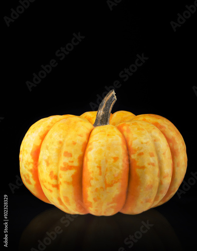 Small pumpkin isolated on black background