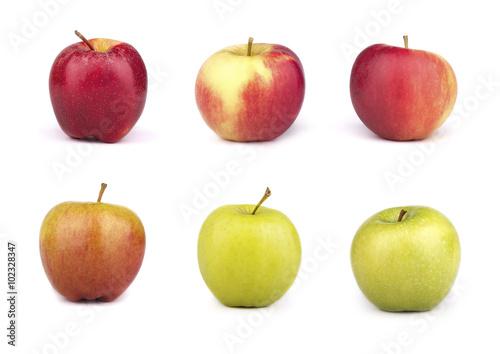 a set of six varieties of apples isolated on white  background