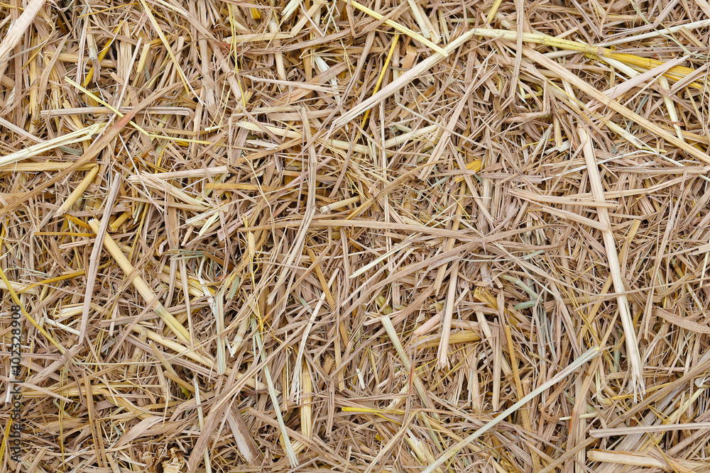 Dry hay Dry hay