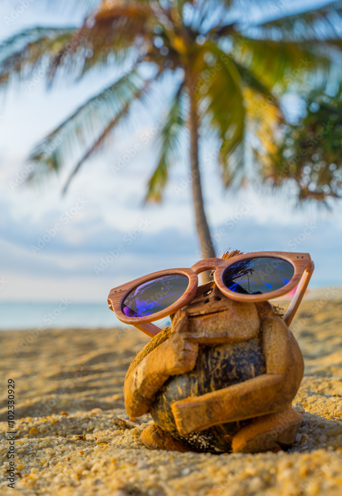 Coconut monkey on the beach