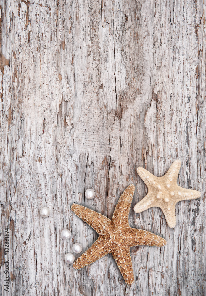 Grunge background with seashells and pearls on the old wood Grunge background with seashells and pearls on the old wood