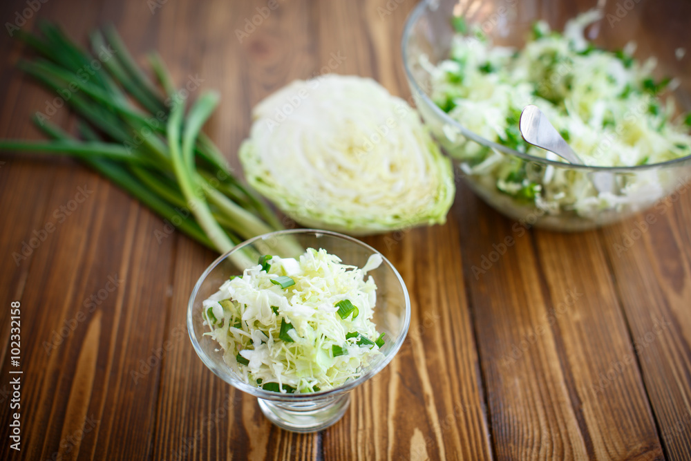 salad of fresh spring cabbage salad of fresh spring cabbage