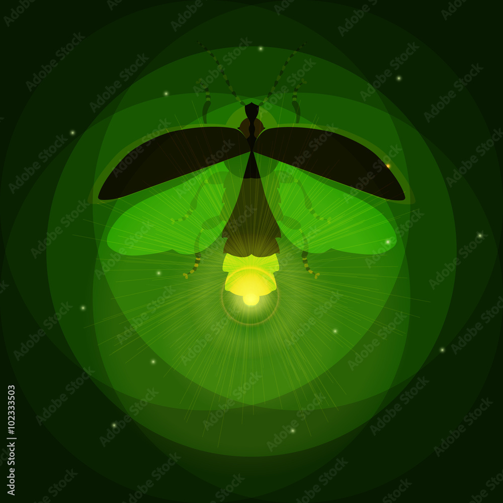 Firefly bug logo design template. Luminous firefly. Overlay effect