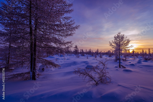 Zima krajobraz z lasem, chmurami na niebieskim niebie i słońcem