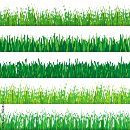 Green grass set. Isolated on white background. Vector illustration