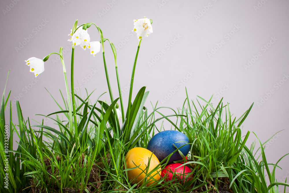 spring snowflake in the grass and Easter eggs spring snowflake in the grass and Easter eggs