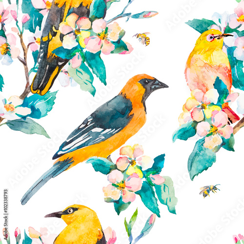 Spring pattern. Flowering branch. Oriole and White-eye bird watercolor pattern. Bees,wasp. Watercolor. Vector.