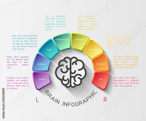 Brain infographic concept