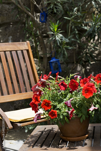 Fototapeta Naklejka Na Ścianę i Meble -  Fresh geranium flowers in garden on the table