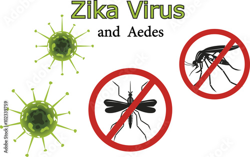 Zika virus and mosquitoes