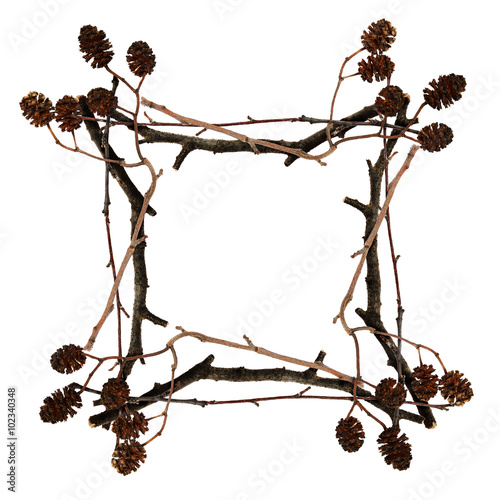 Frame made from dry twigs