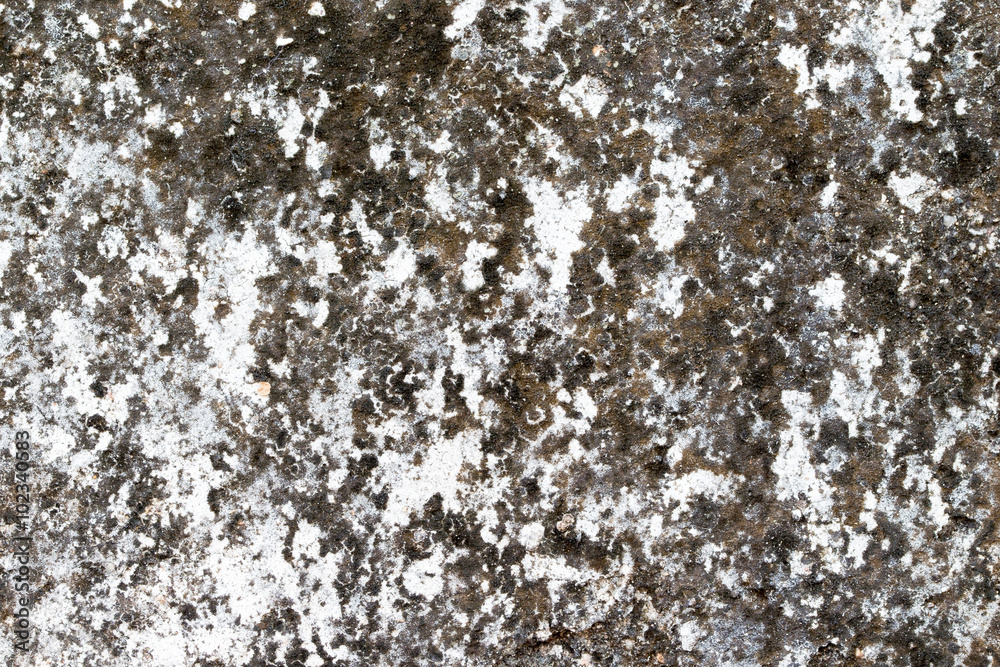 Obraz premium white concrete wall texture