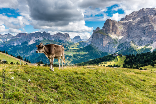 Hiking and trekking in the beautiful Mountains of Dolomites,  Italy © Simon Dannhauer