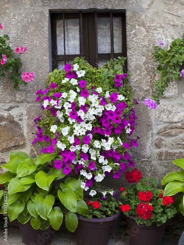 Macetas con flores y plantas junto a casa de piedra