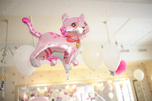 Baby birthday decor or baby shower decor pink cat