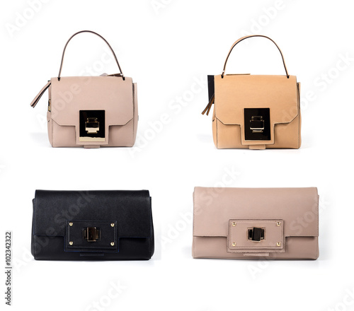 set of leather women handbags isolated on white background