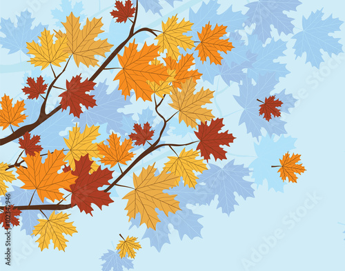 Orange Autumn Maple Leaves on tree. Vector