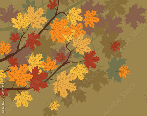 Orange Autumn Maple Leaves on tree. Vector