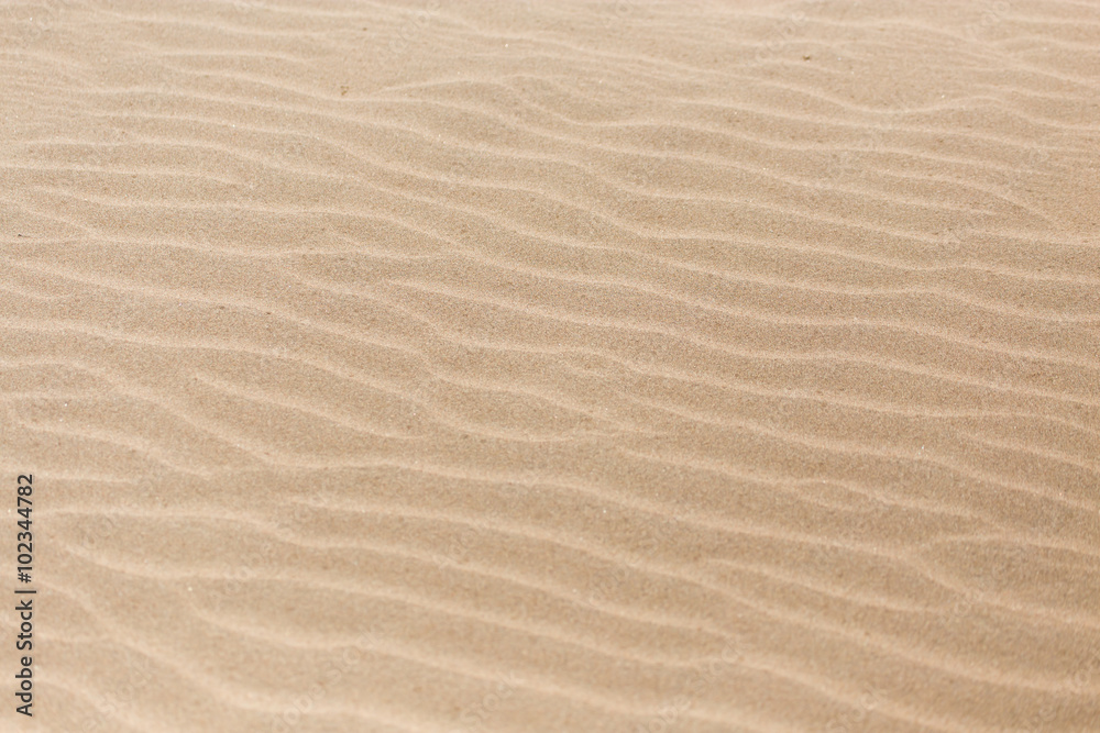 sand in nature as a background sand in nature as a background