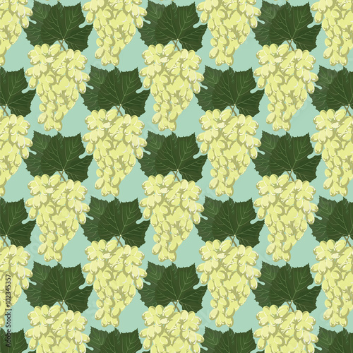 Grapes clusters pattern. Vector