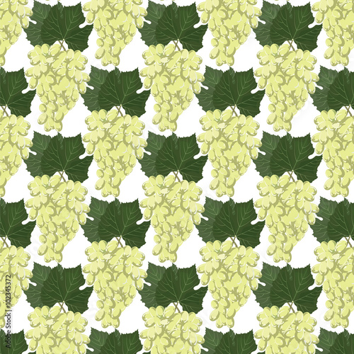 Grapes clusters pattern. Vector