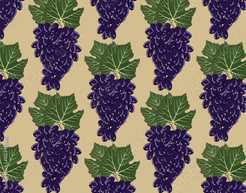 Grapes clusters pattern. Vector