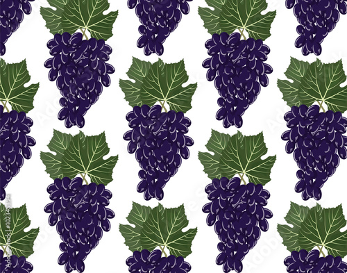 Grapes clusters pattern. Vector