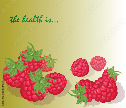 Fresh Healthy Red Raspberry background. Vector