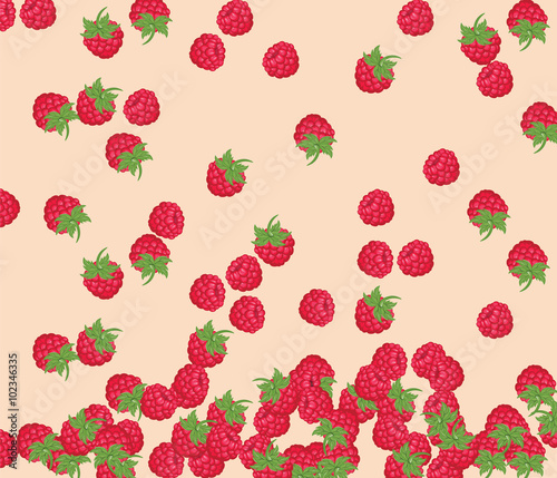 Red Raspberry pattern background. Vector