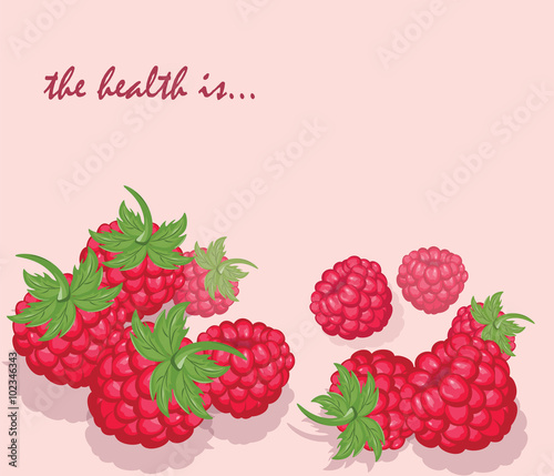 Fresh Healthy Red Raspberry background. Vector