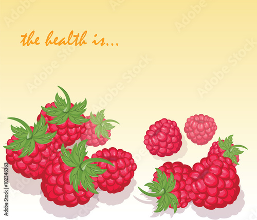 Fresh Healthy Red Raspberry background. Vector