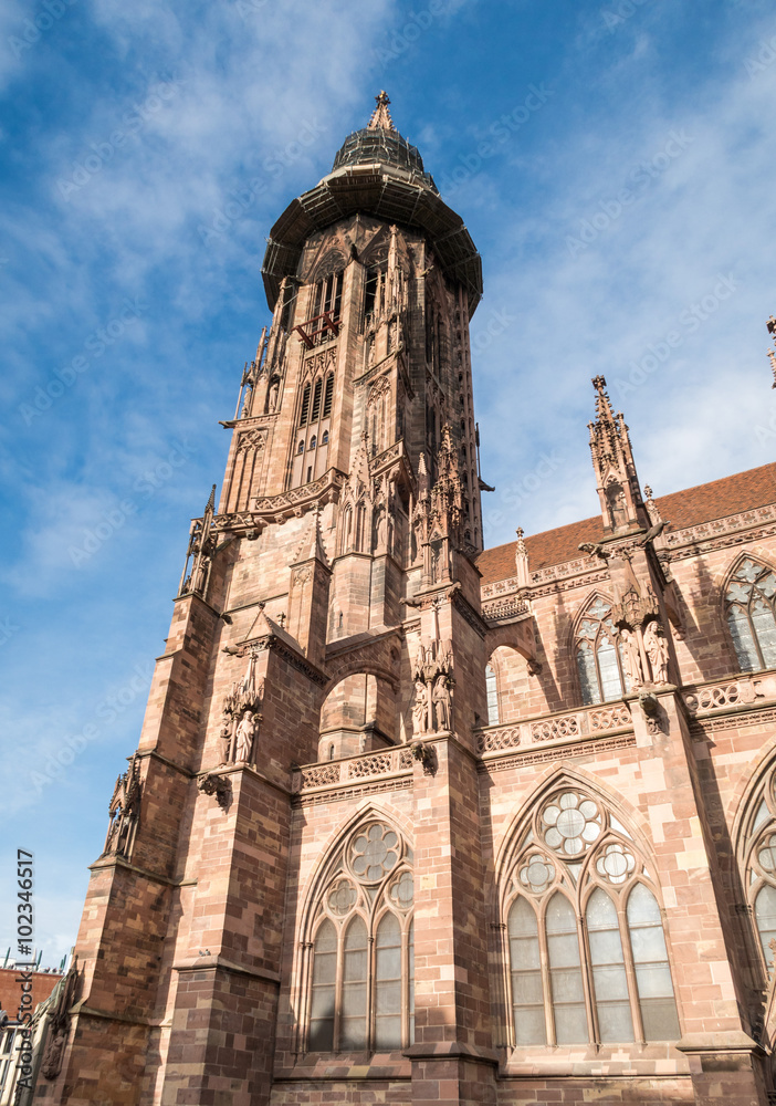 Freiburg Cathedral Main Tower
