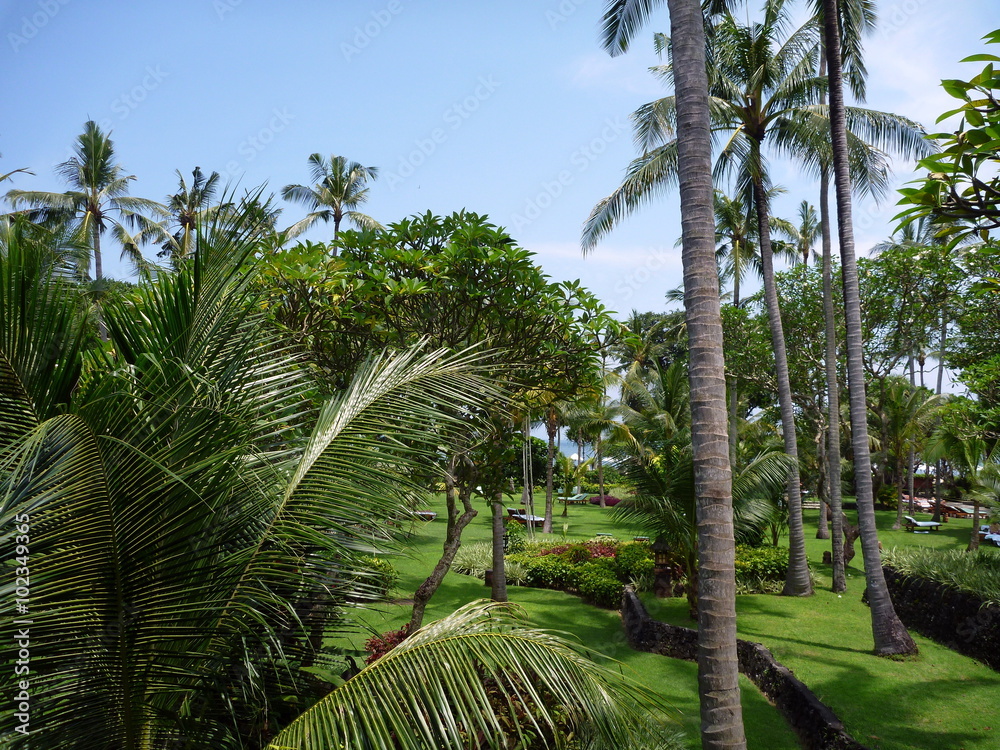 Obraz premium Tropischer Garten, Bali