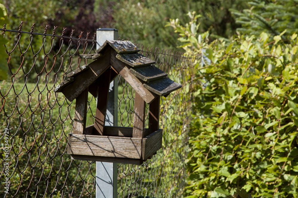 crumbling bird feeder hanging from a rusty fence crumbling bird feeder hanging from a rusty fence