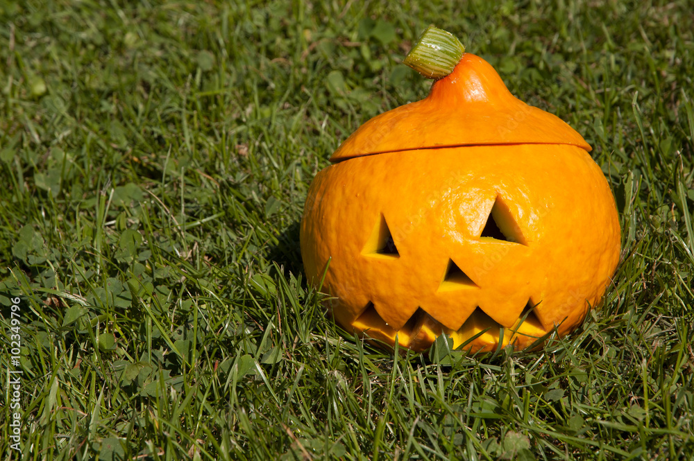 Obraz premium halloween pumpkin on the grass