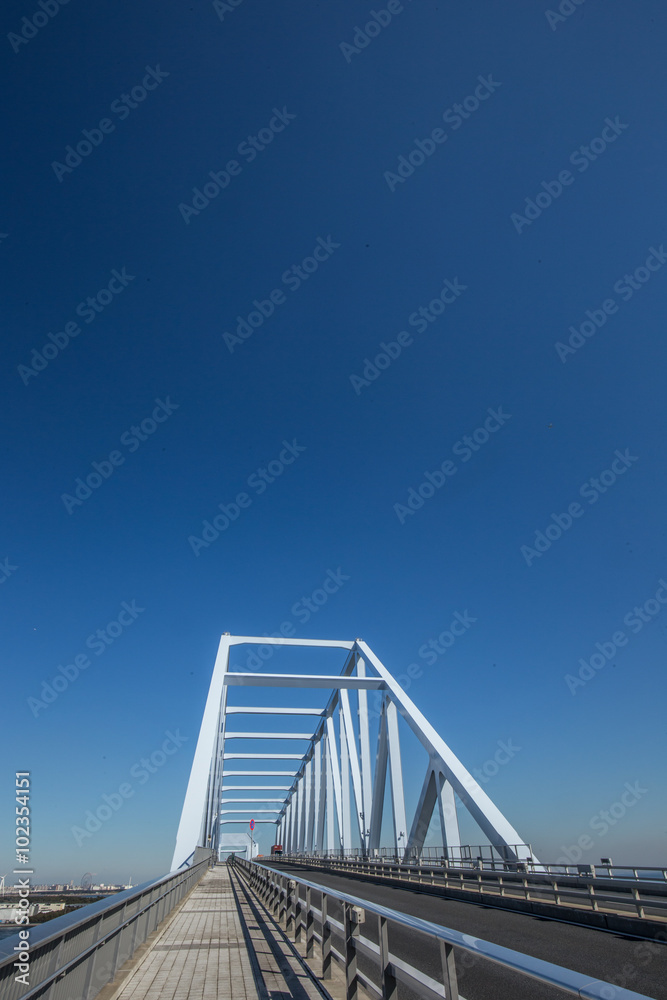 Fototapeta premium トラス橋の東京ゲートブリッジ