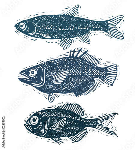 Set of vector fishes, diffe...