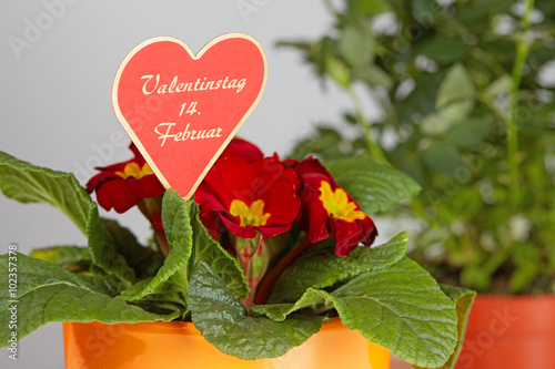 Fototapeta Naklejka Na Ścianę i Meble -  Valentines day heart card